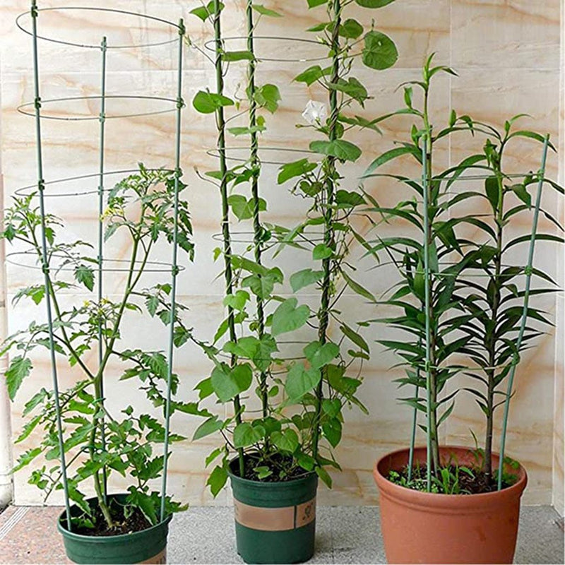 Adjustable Plant Supports Cages - Chokid