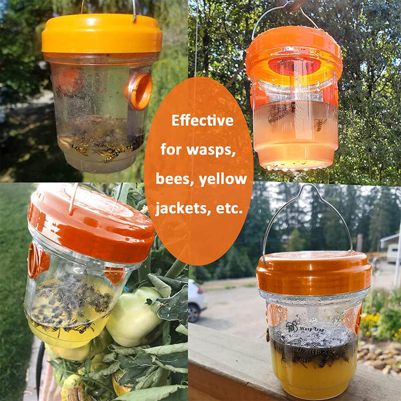 2 Pack Solar Wasp Traps