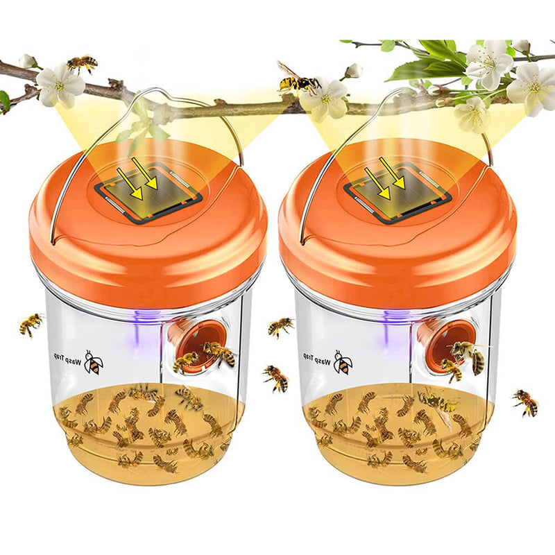 2 Pack Solar Wasp Traps