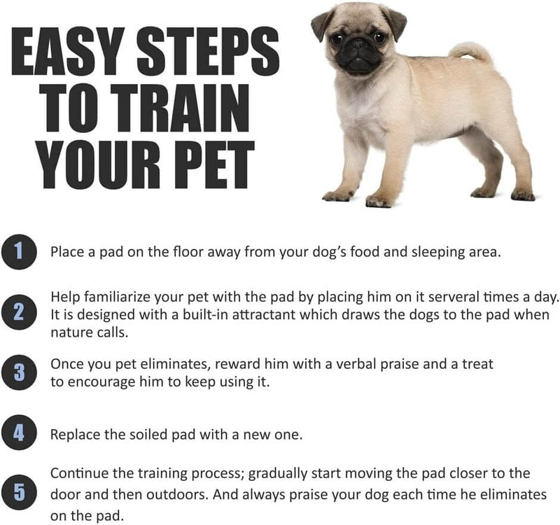 Training Pee Pads for Dogs and Puppy