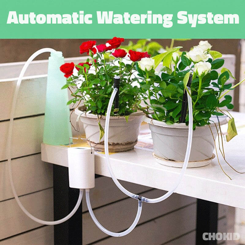 Automatic Watering System Indoor Plant