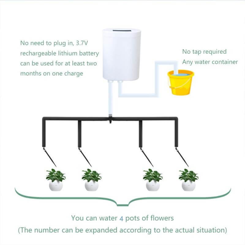 Automatic Watering System Indoor Plant