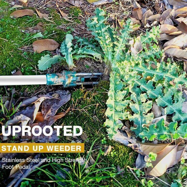 (🎉Father's Day Pre-sale - 50% OFF) Standing Weed Puller