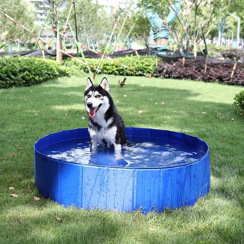 Dog Swimming Pool - Best Large Doggy Pools - Chokid